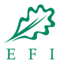 EFI webpage